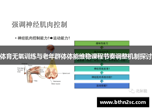 体育无氧训练与老年群体体能维稳课程节奏调整机制探讨